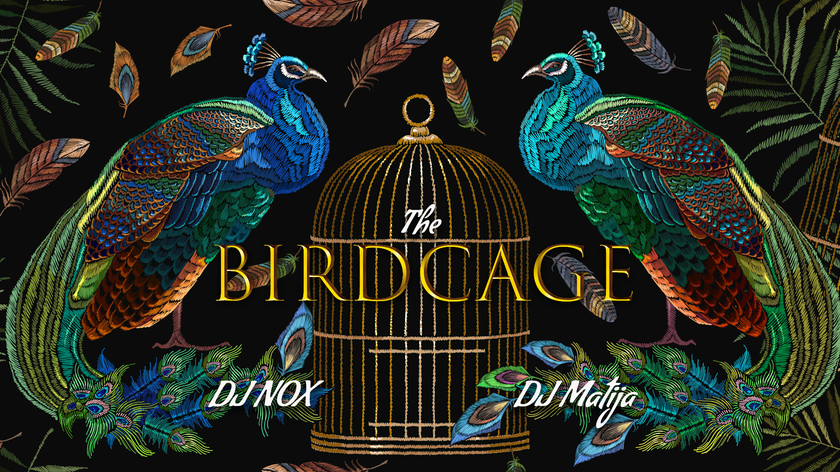 The Birdcage