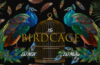 The Birdcage