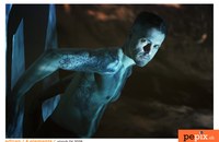 A-adrian-4-elements-gaych.jpg