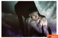 D-adrian-4-elements-gaych.jpg