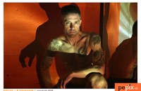 L-adrian-4-elements-gaych.jpg