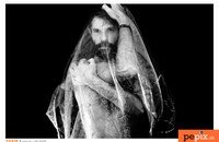 F-gaych-yakir-the-5th.jpg