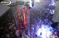 white_7a.jpg