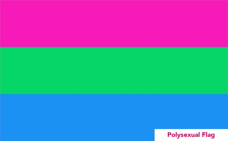 11_polysexual.jpg