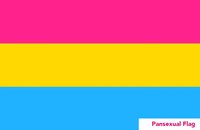 20_pansexual.jpg