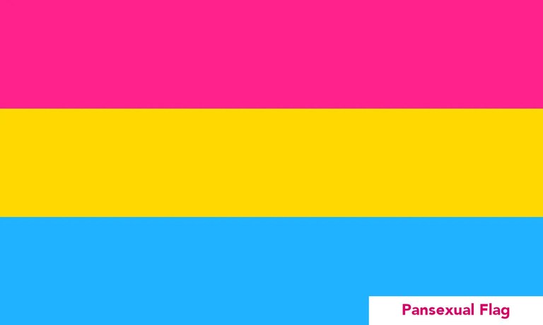 20_pansexual.jpg