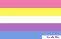 21a_bigender.jpg
