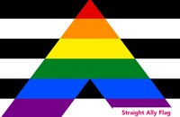28_straightallyflag.jpg