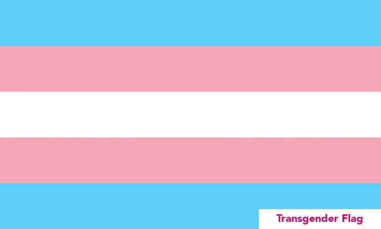 8_transgender.jpg