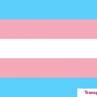 8_transgender.jpg