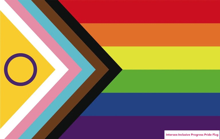 Überblick über die verschiedenen Pride Flags