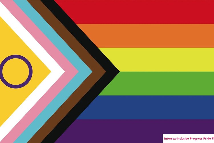 Überblick über die verschiedenen Pride Flags