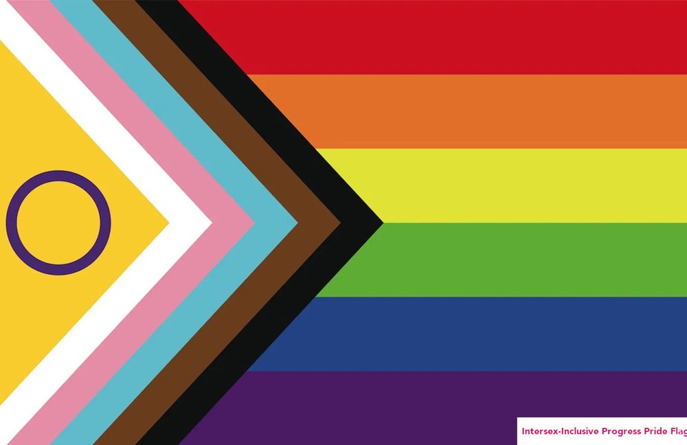 Überblick über die verschiedenen Pride Flags